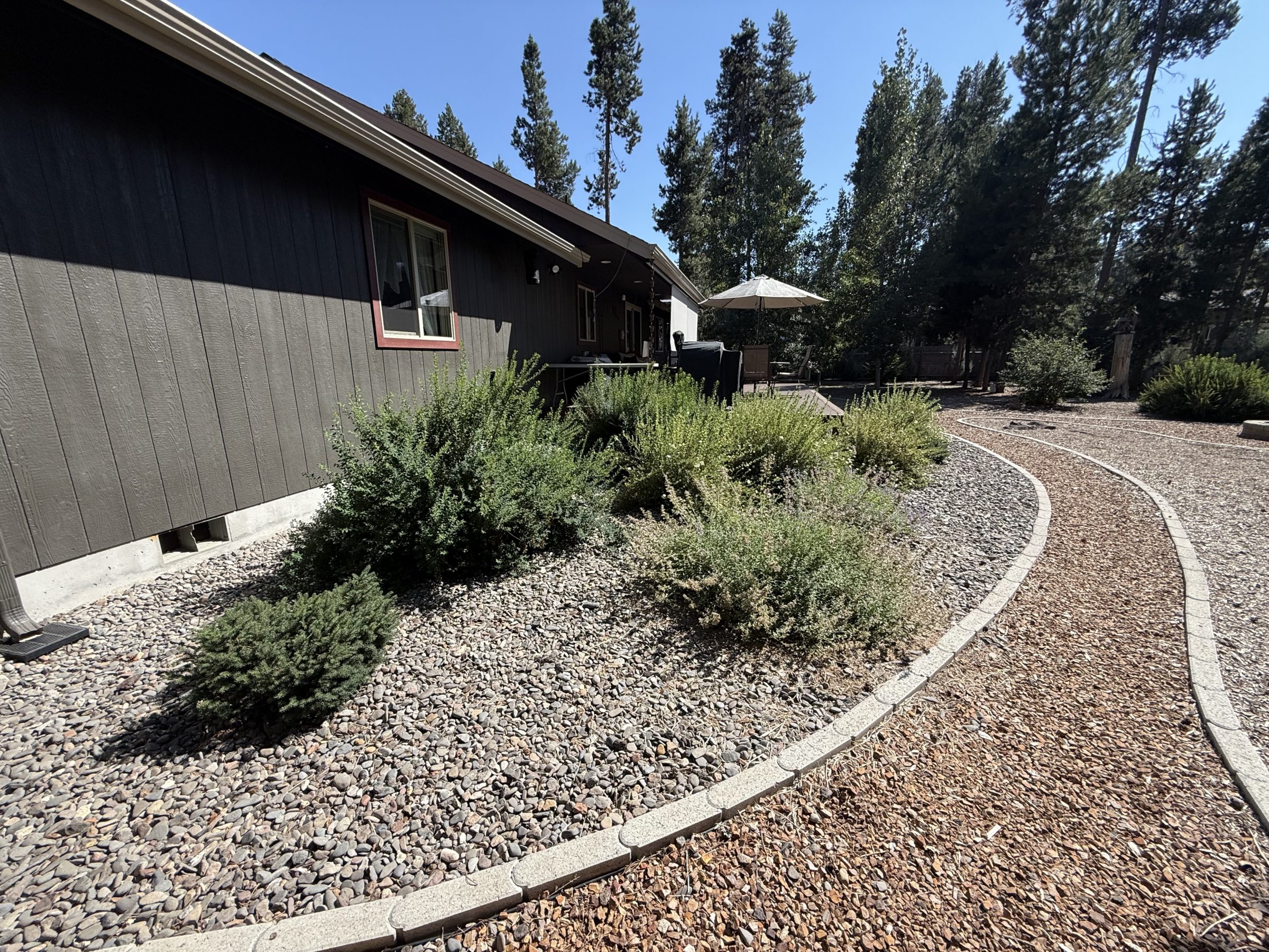 A pathway curves around a modern house surrounded by landscaped shrubs and rocky ground, set amidst tall trees under a clear blue sky.