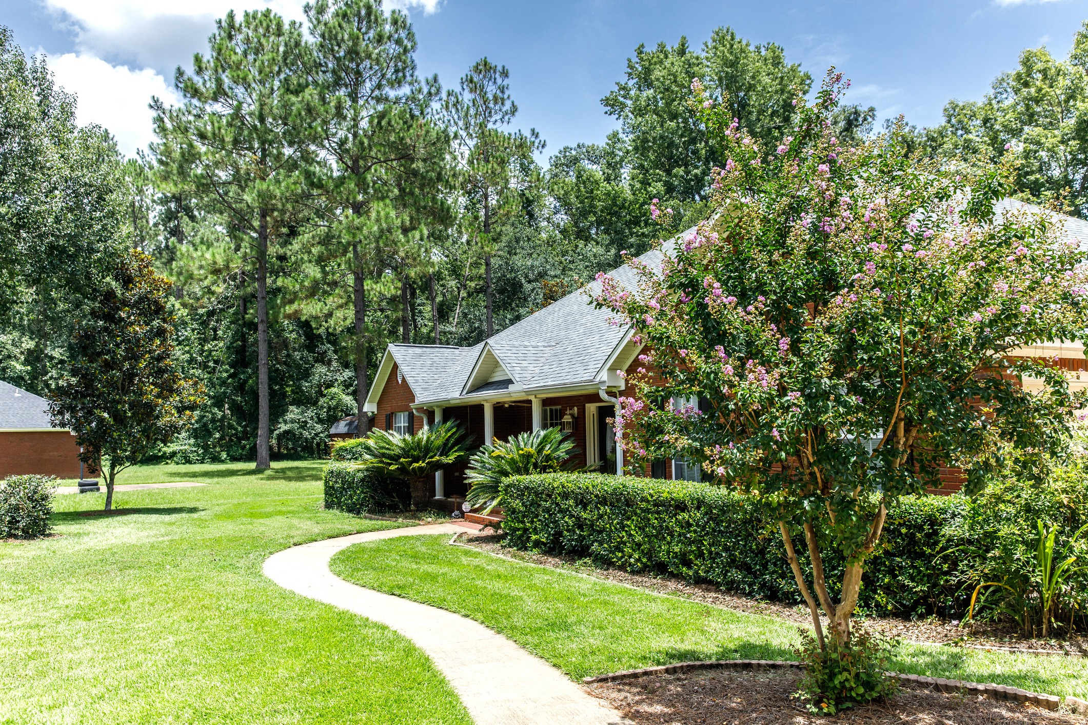 Charming suburban house with a lush garden, flowering trees, and a curved pathway, set against a background of tall, green trees.