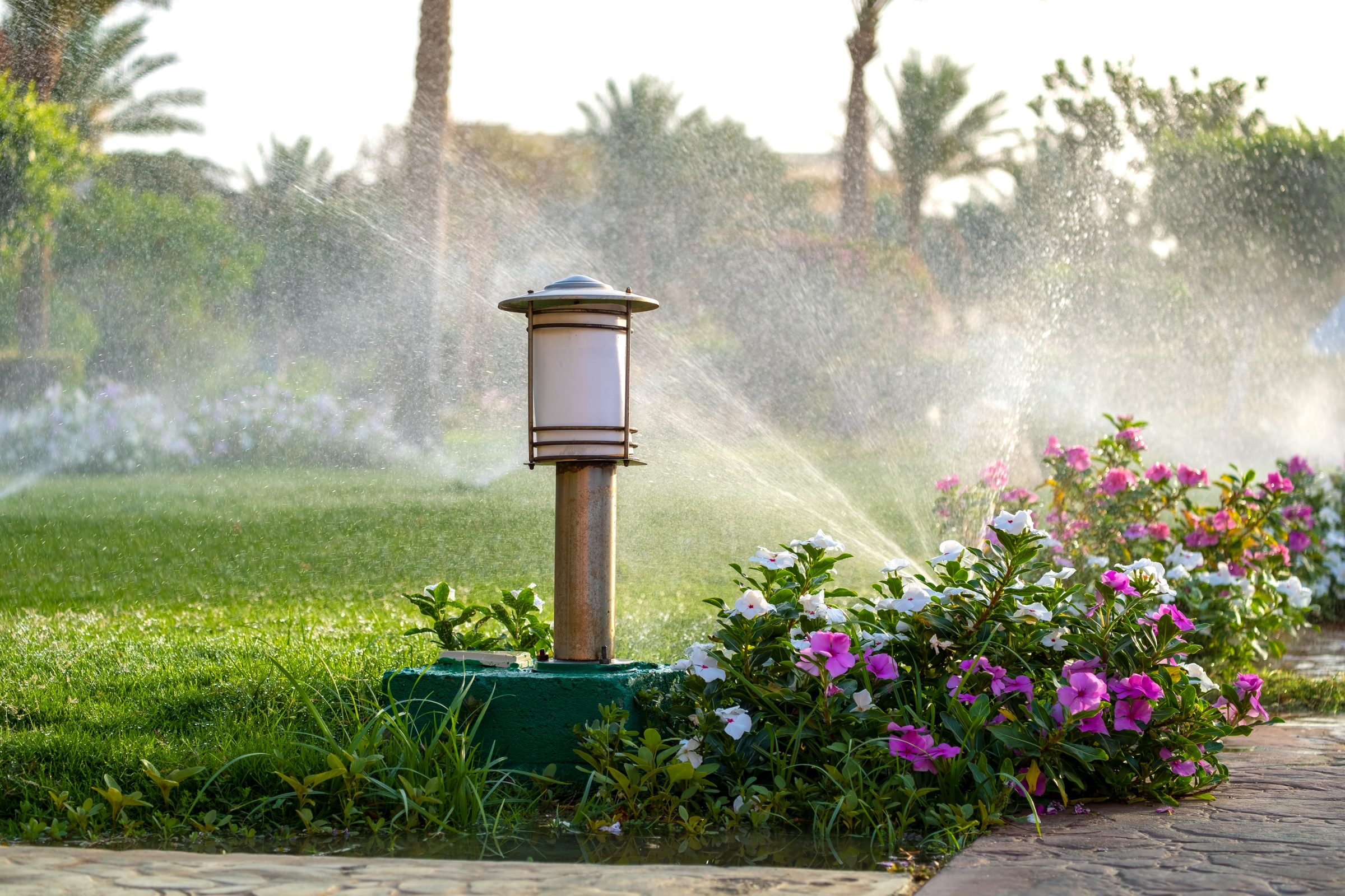 A garden with pink and white flowers, surrounded by green grass, features a metal lamp post and active sprinklers creating a misty effect.