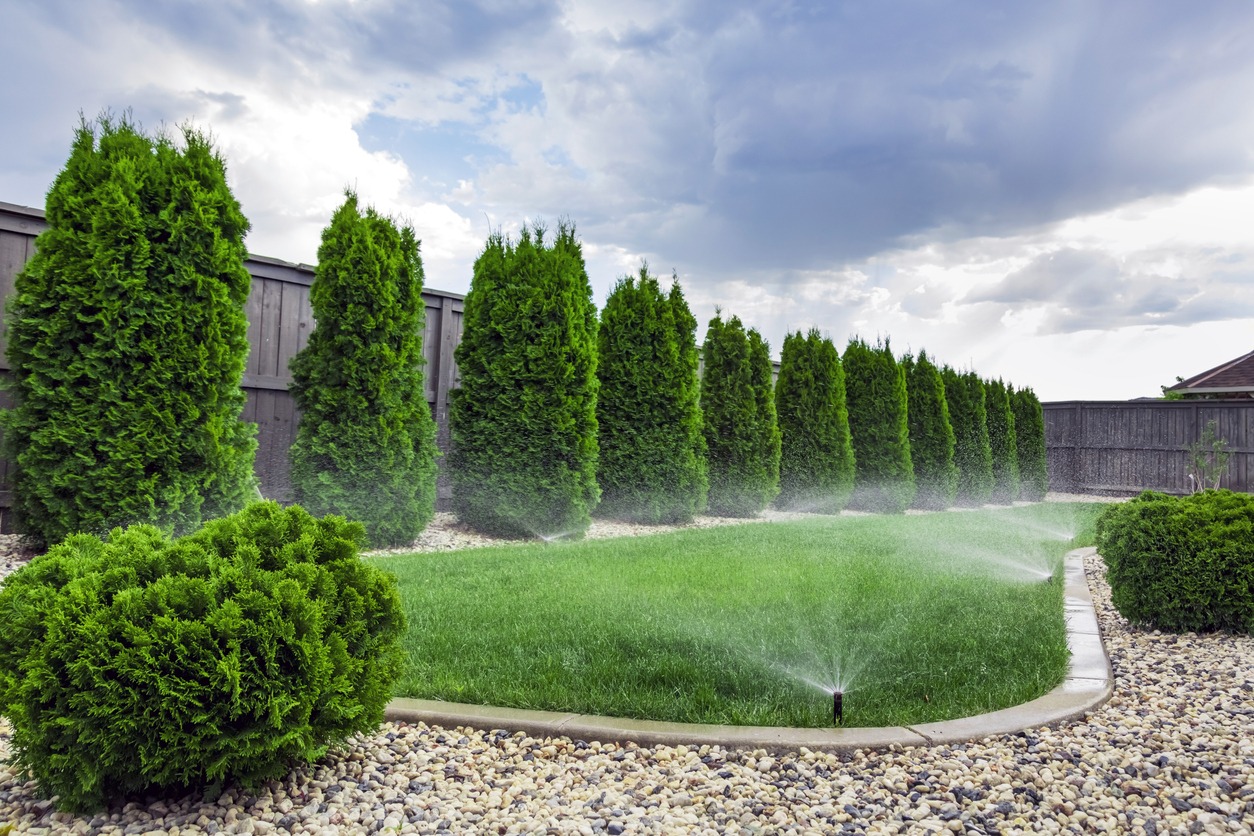 Lush green garden with sprinklers watering grass, surrounded by trimmed bushes and a wooden fence under a cloudy sky. No people visible.