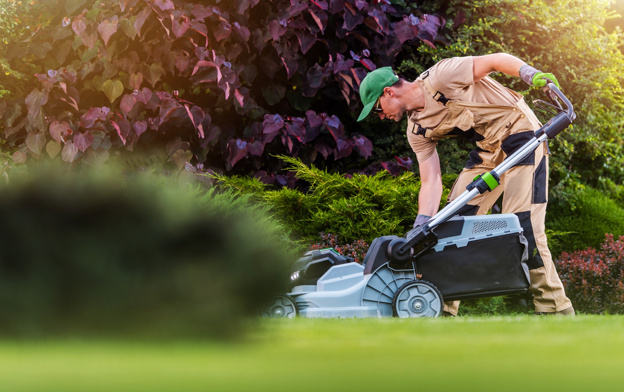 A person in work attire uses a lawnmower in a lush, green garden, surrounded by vibrant plants and foliage under sunlight.