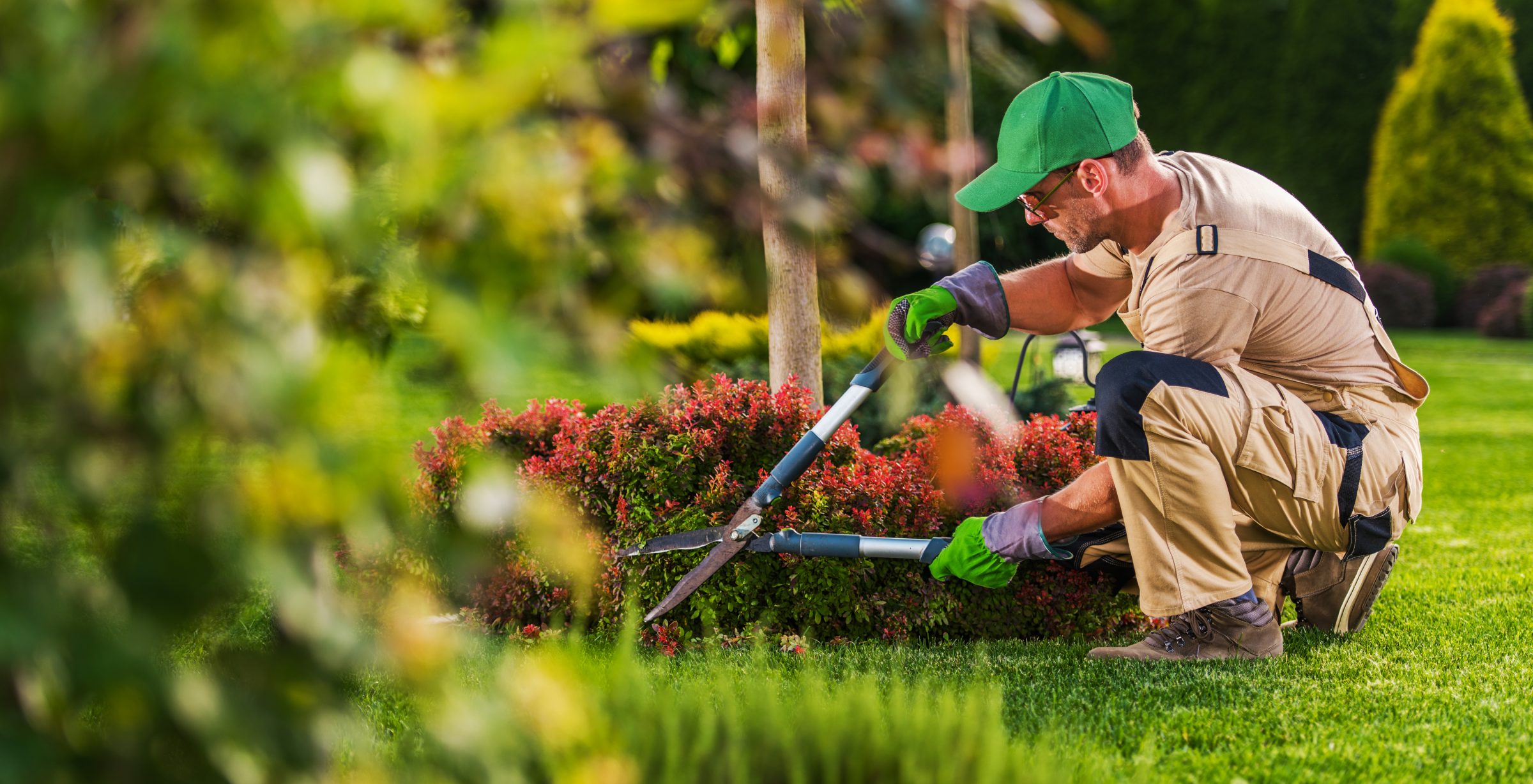 A person in a garden trims bushes with pruning shears, wearing work clothes, gloves, and a cap, surrounded by green foliage.