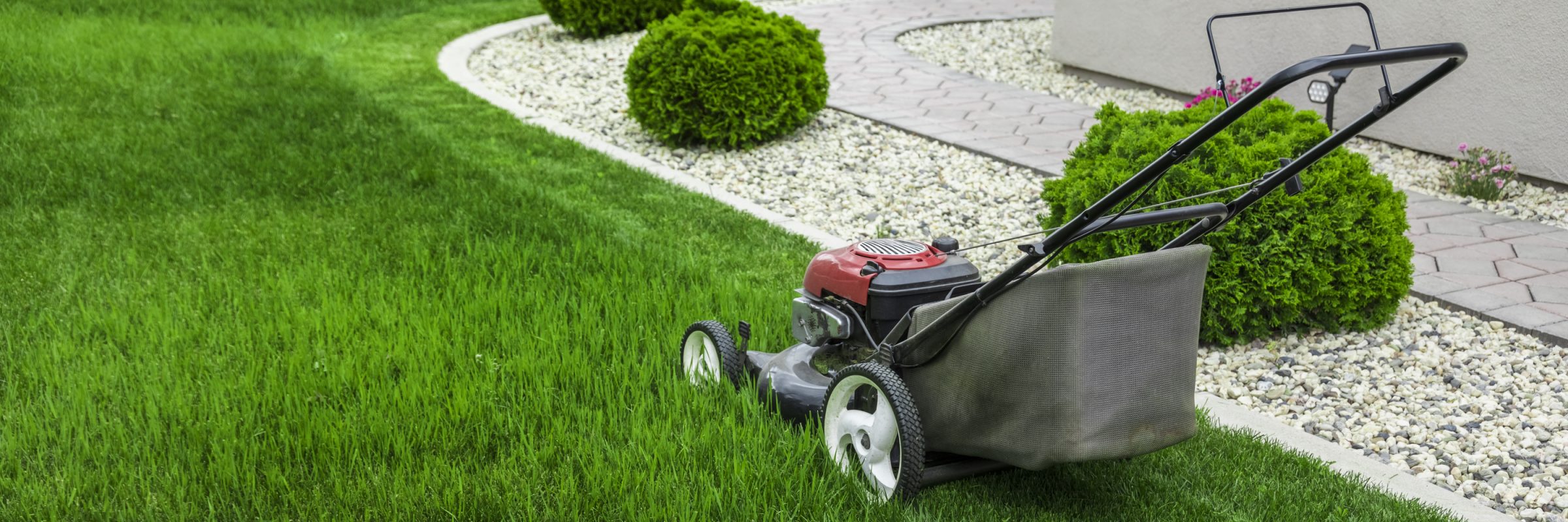 A lawn mower on a well-maintained grassy yard with trimmed bushes and pebble-lined pathways in a residential garden setting.