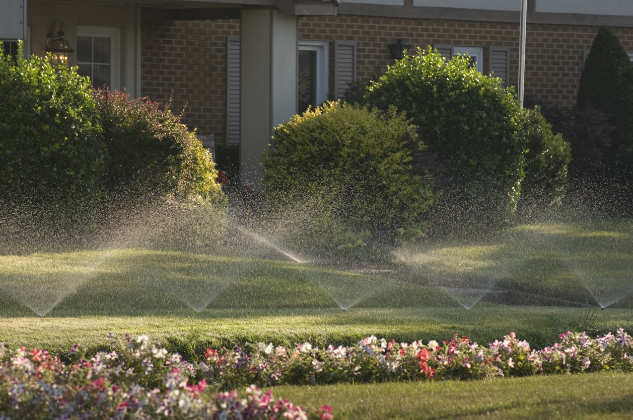 Sprinklers watering a green lawn surrounded by colorful flowers and dense bushes, with a brick building visible in the background.