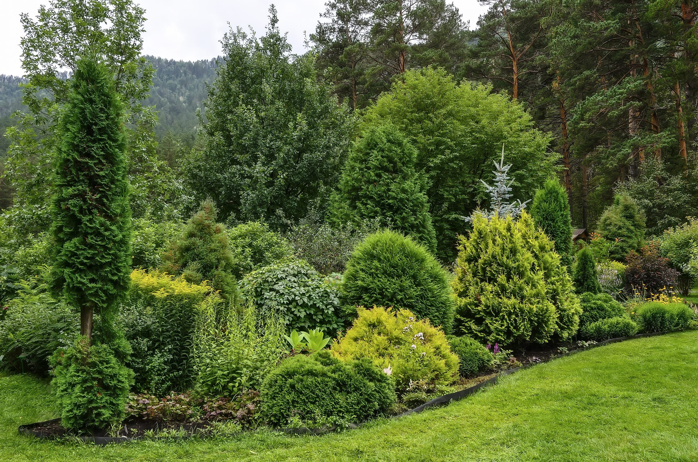 Lush garden with diverse green foliage, shrubs, and trees surrounded by a forested hillside background, creating a serene natural landscape.