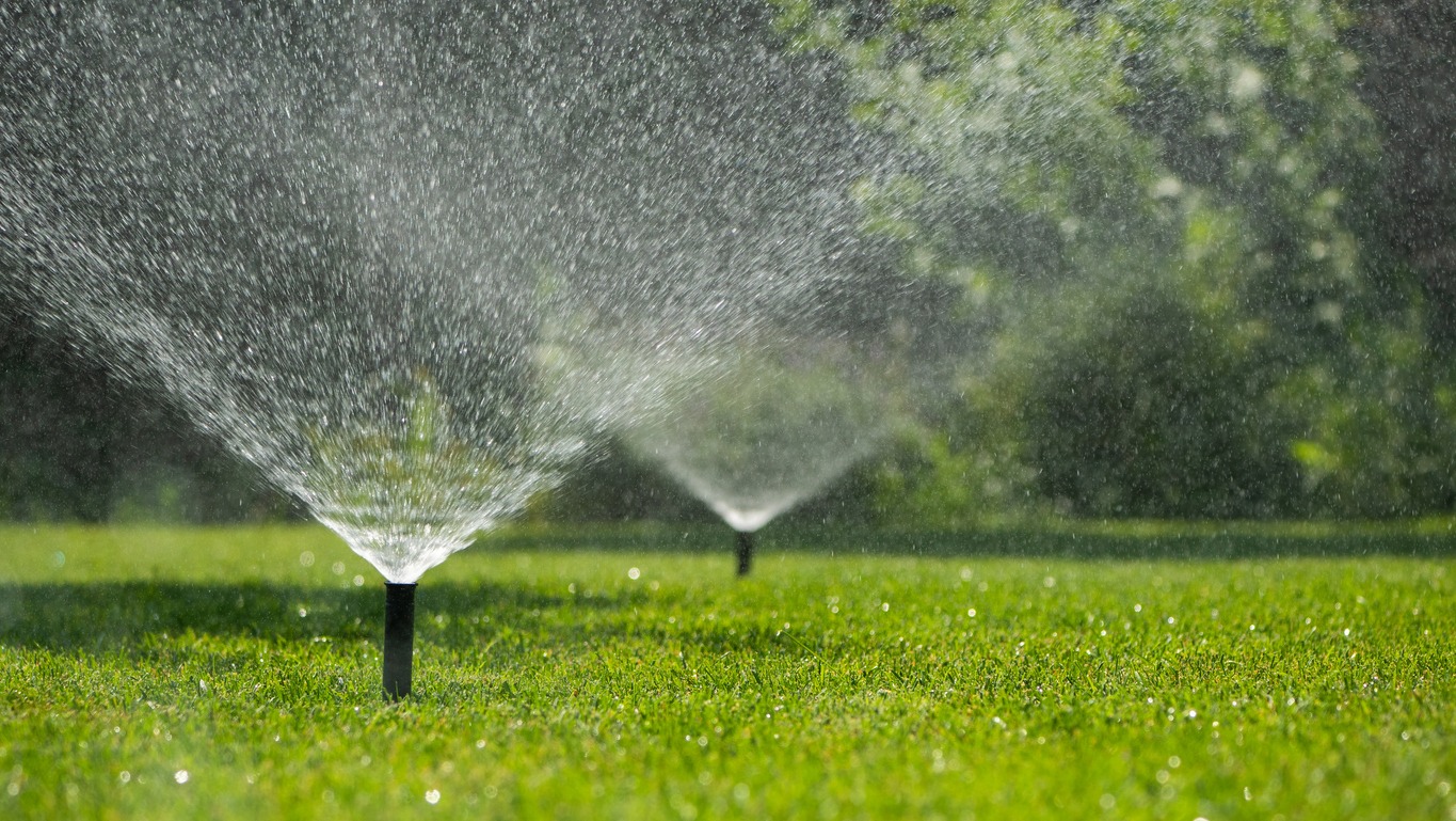 A lawn sprinkler system waters green grass in a garden setting. Water droplets create a refreshing atmosphere amid lush foliage.