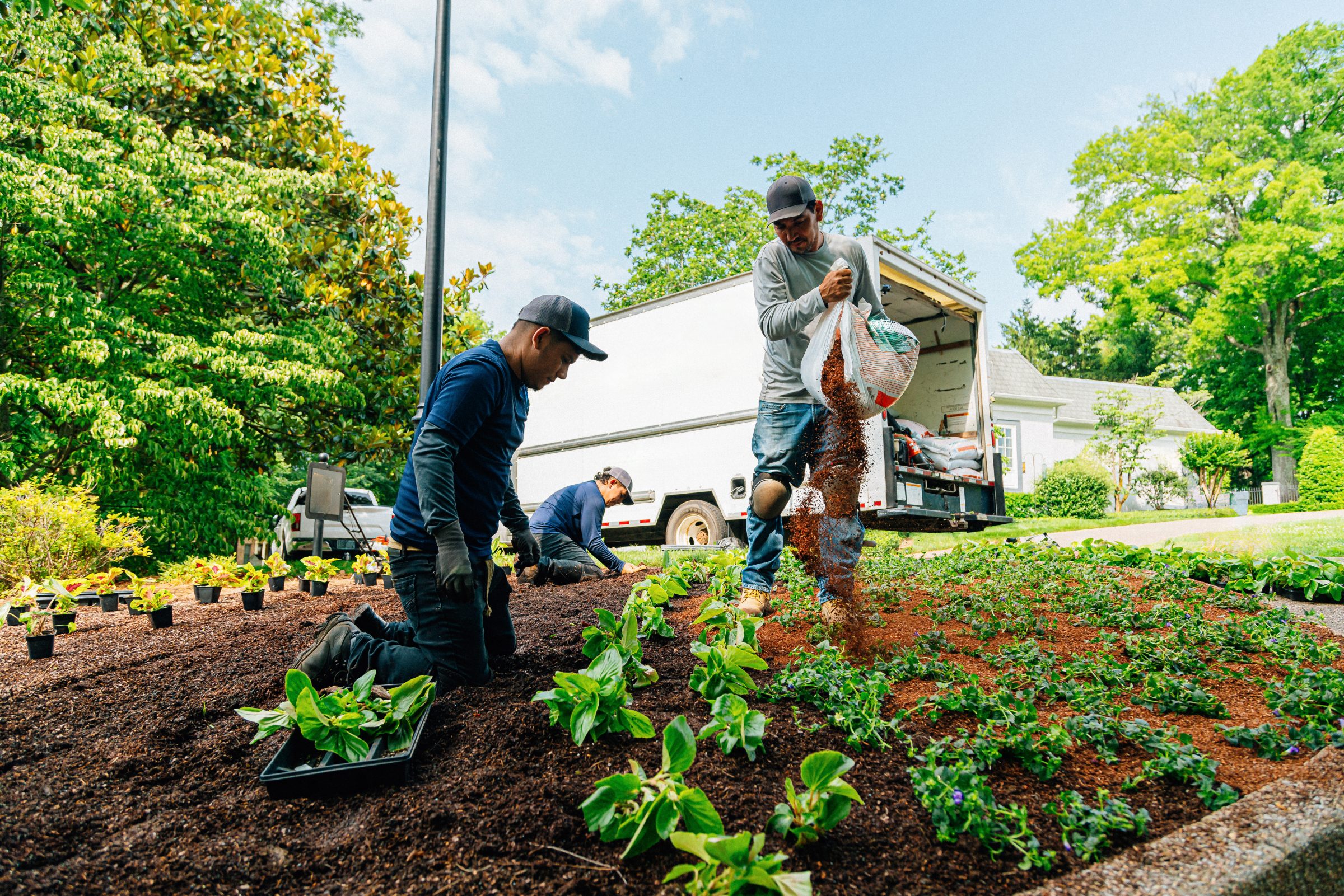 Three people work on a garden, planting and spreading mulch. A truck is parked nearby, surrounded by vibrant greenery under a clear sky.