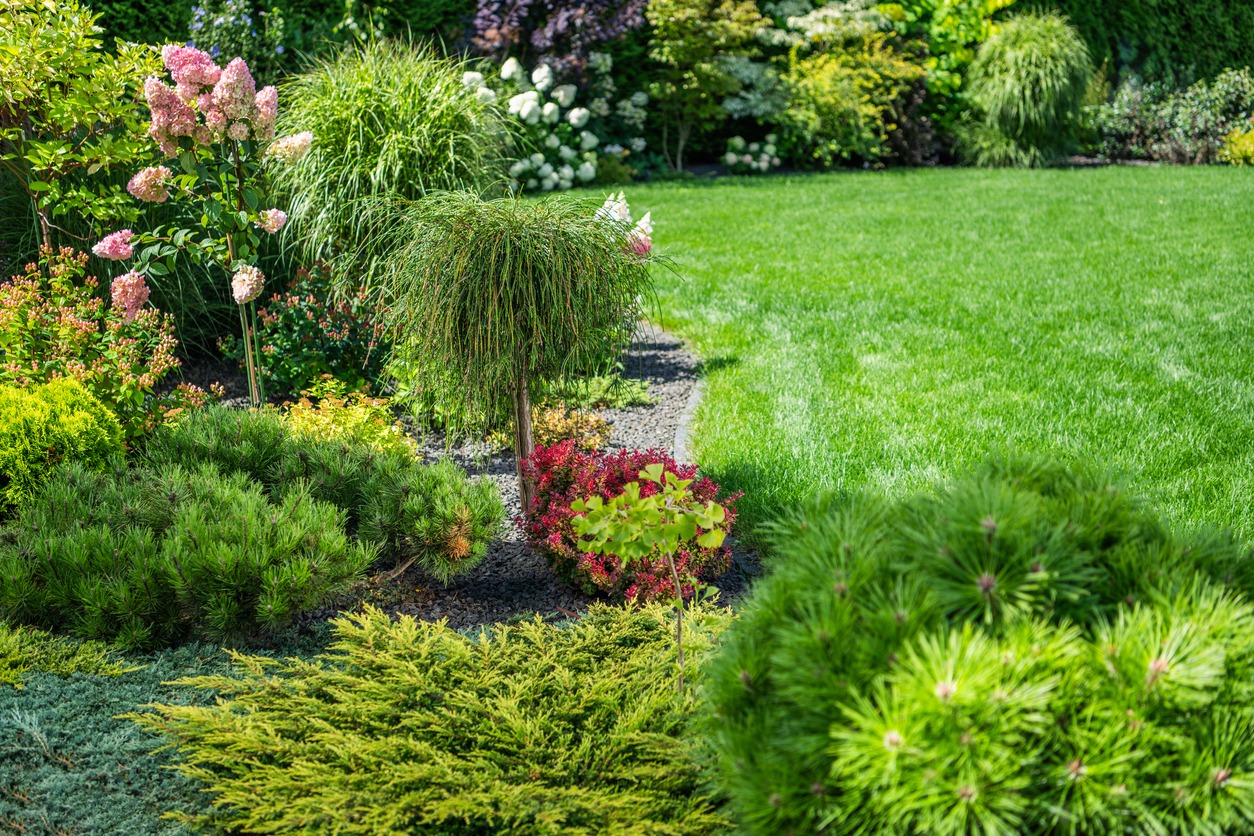 A vibrant garden features lush green grass, colorful flowering plants, and neatly arranged shrubs, creating a serene and inviting outdoor space.