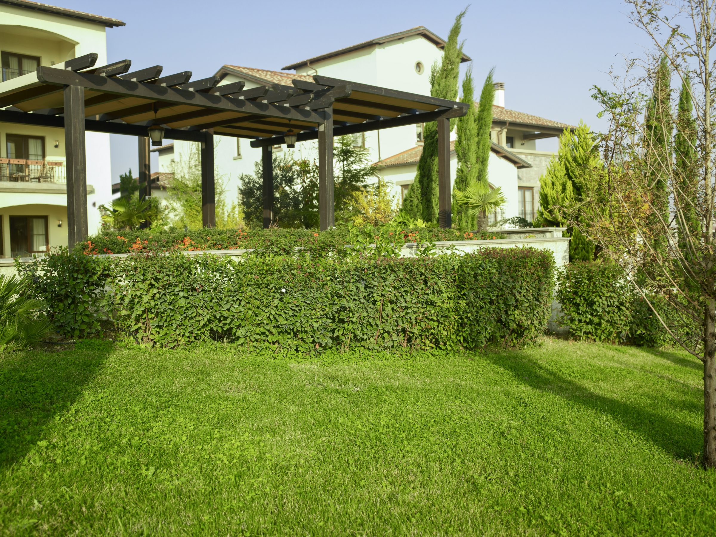 A lush garden surrounds a modern building with a wooden pergola. Vibrant greenery and manicured lawn enhance the tranquil outdoor atmosphere.