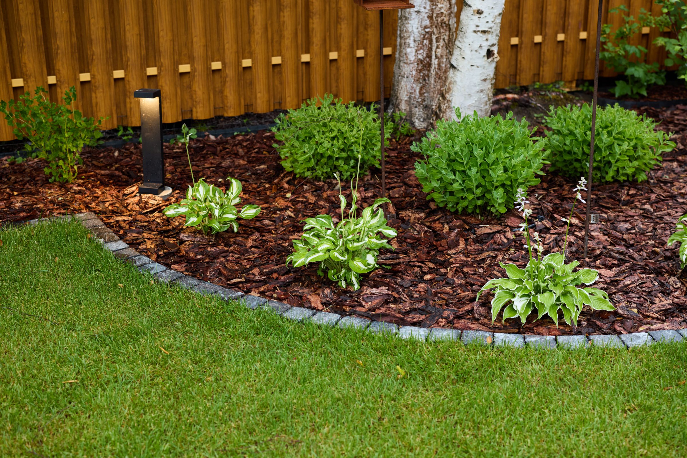 Neatly landscaped garden with vibrant greenery and hostas, bordered by mulch and a wooden fence, features a modern outdoor light.