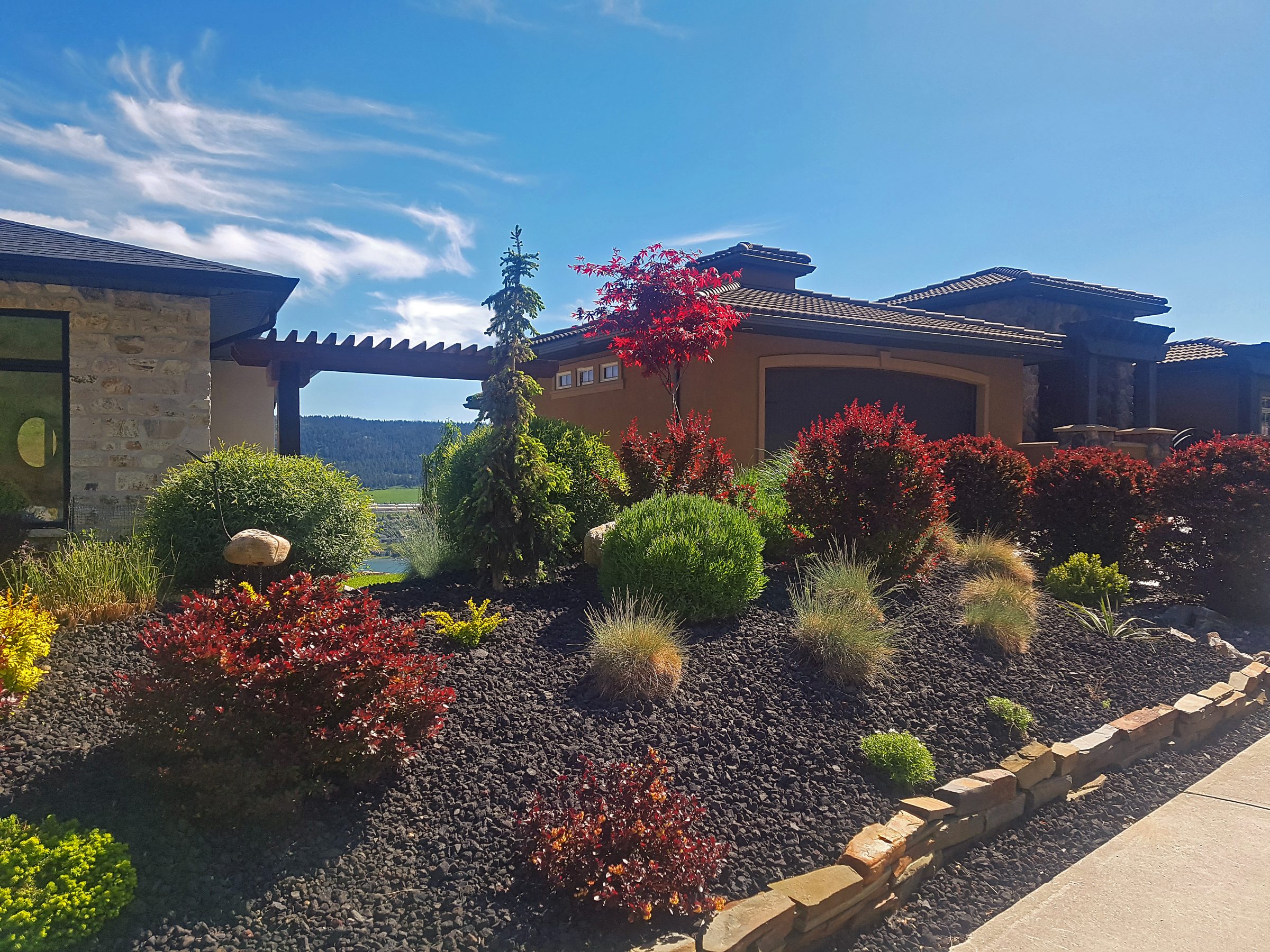 Modern house with landscaped garden featuring colorful shrubs and trees, stone pathway, and clear blue sky in a suburban setting.