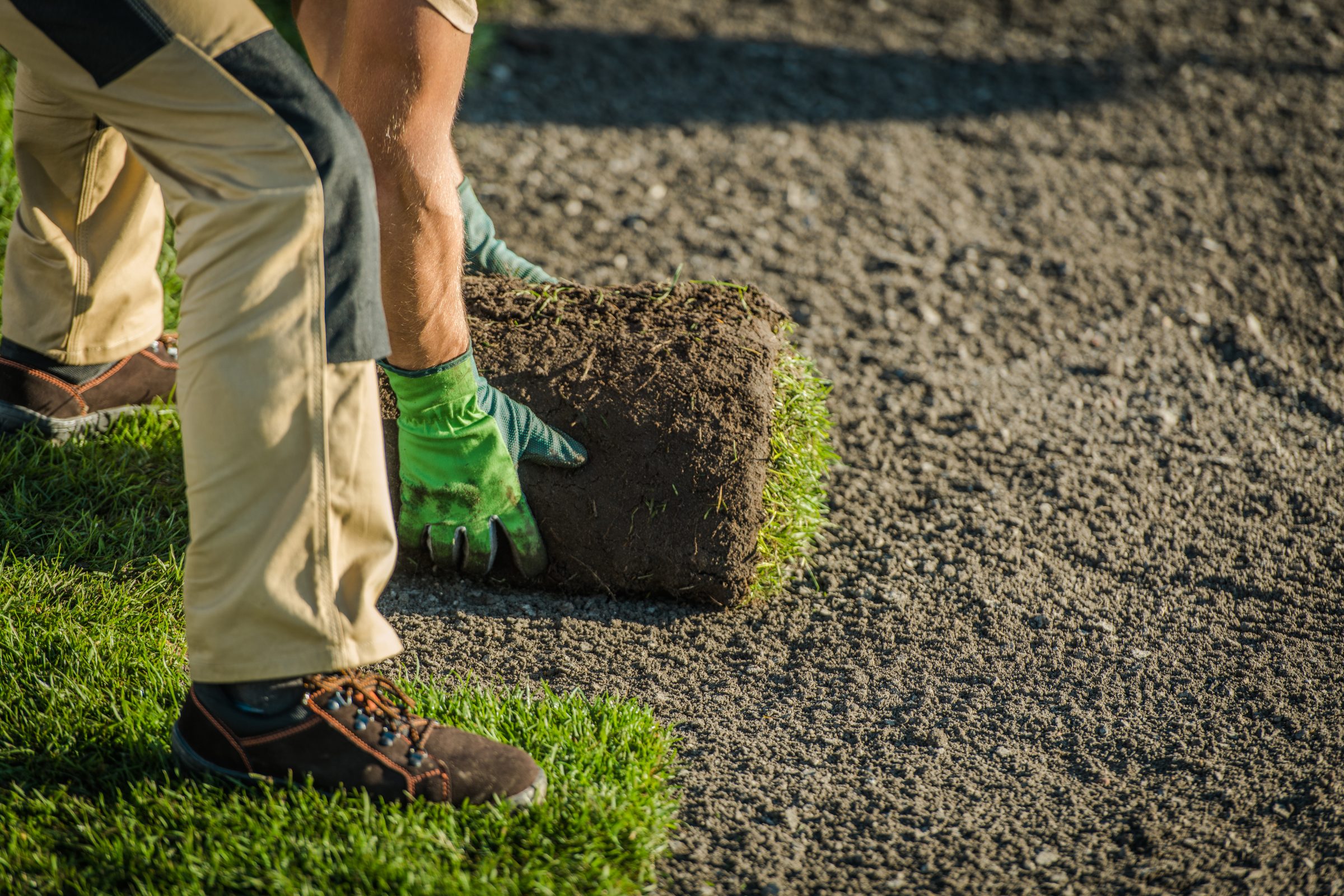 Two people are laying sod on a dirt surface, wearing gloves and sturdy shoes, working together to establish a grassy area.