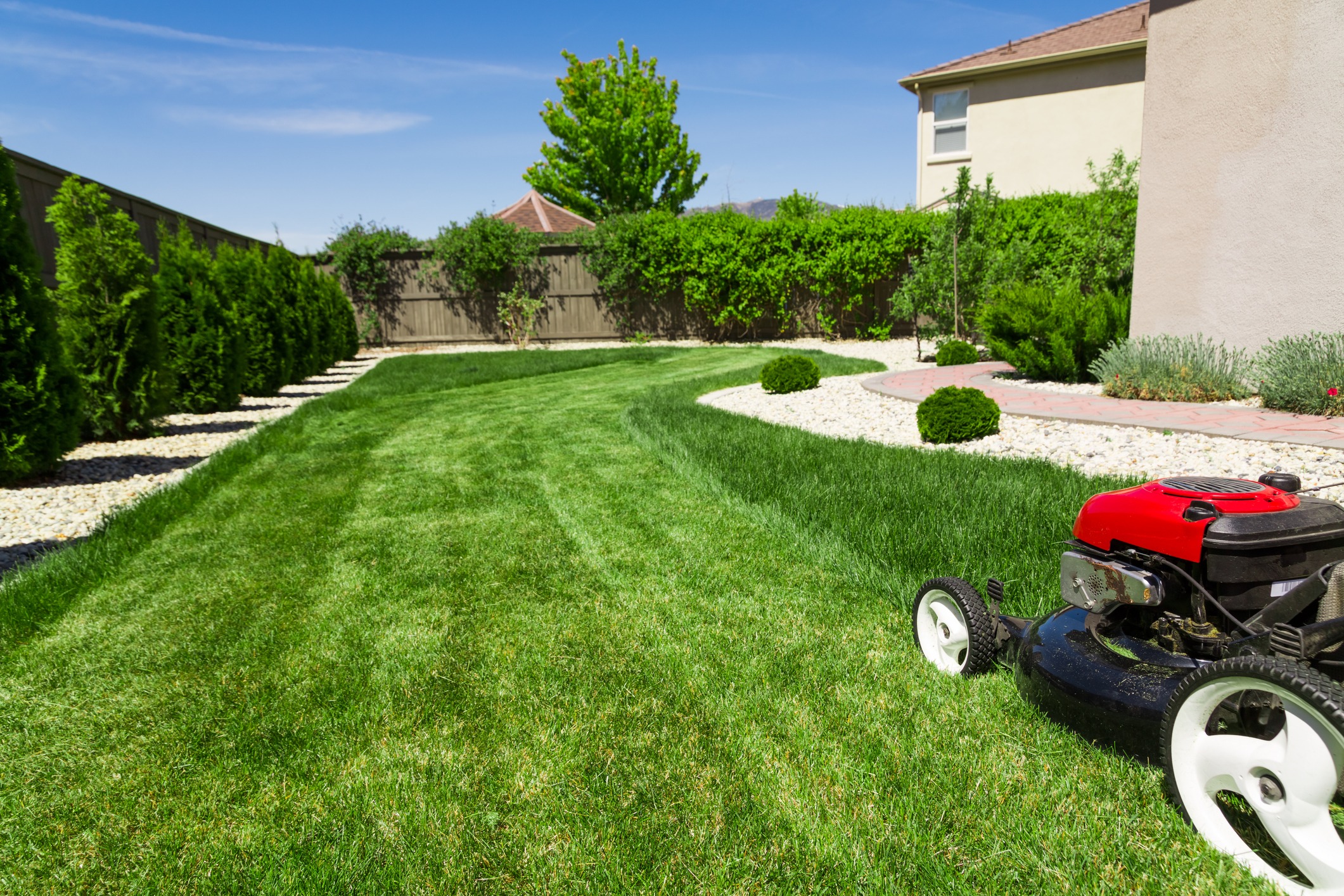A lawnmower on freshly cut green grass in a backyard, bordered by a wooden fence and lush greenery under a clear blue sky.