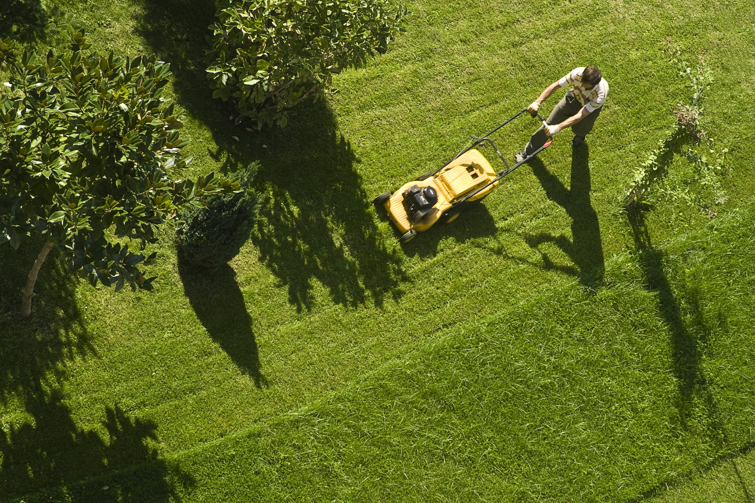 A person is mowing a lush green lawn with a yellow lawnmower, surrounded by trees casting long shadows.