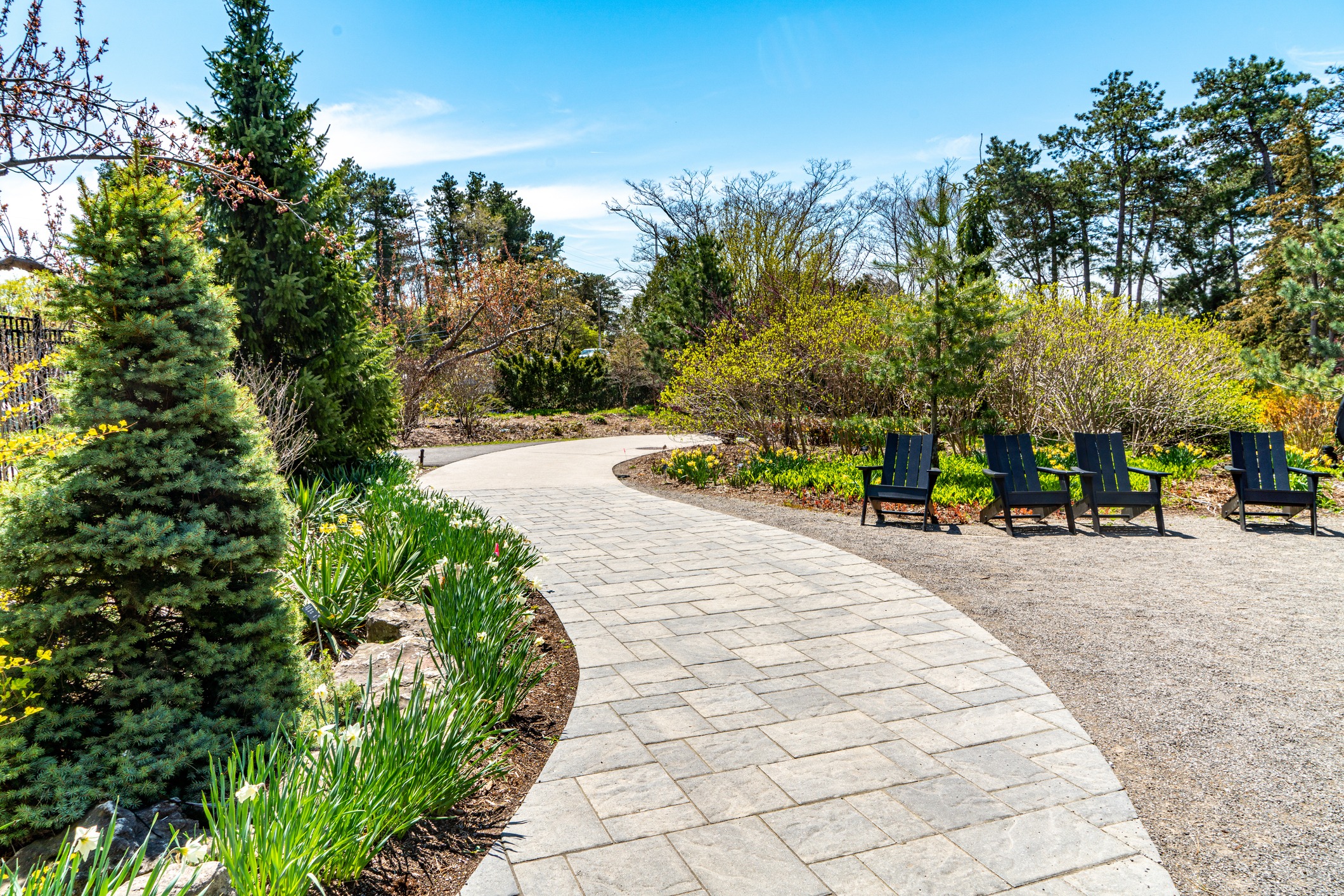 Footpath in Hamilton Garden